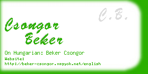 csongor beker business card